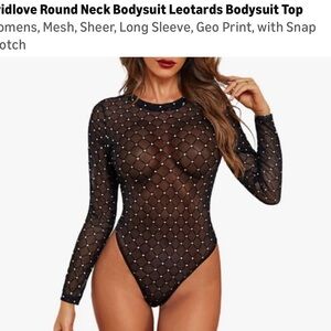 Black Mesh Long Sleeve Bodysuit